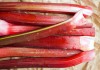Rhubarbs