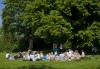 Picnic