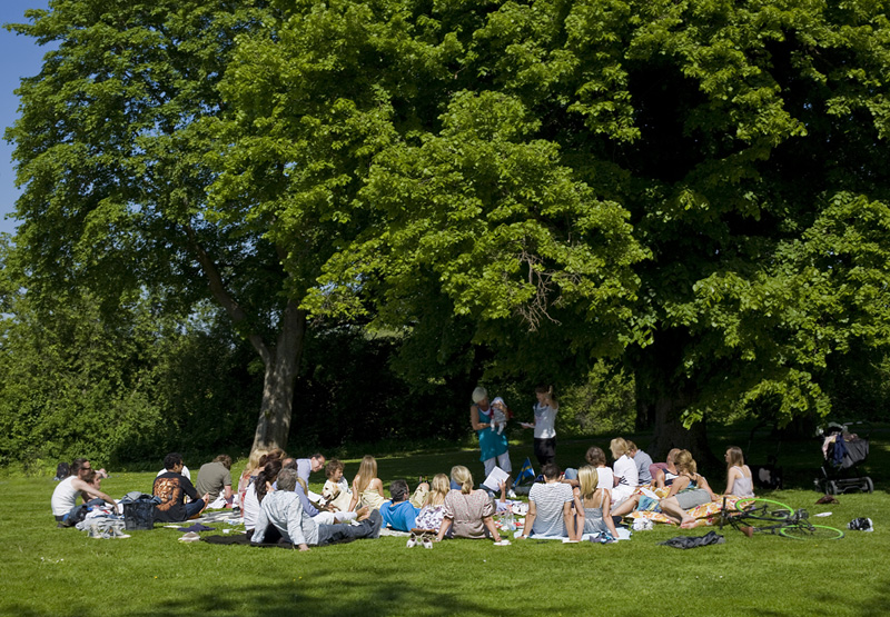 Picnic
