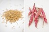 Barley_Borlotti
