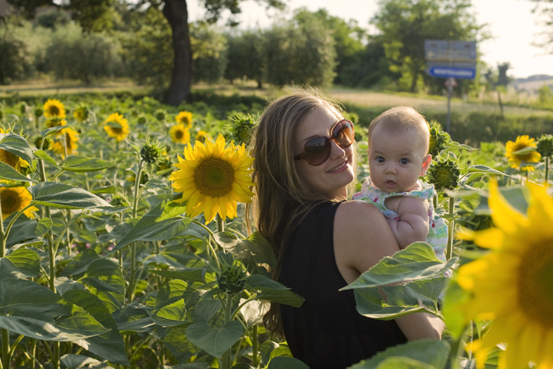 Sunflower_field