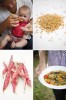 elsa_barley_borlotti