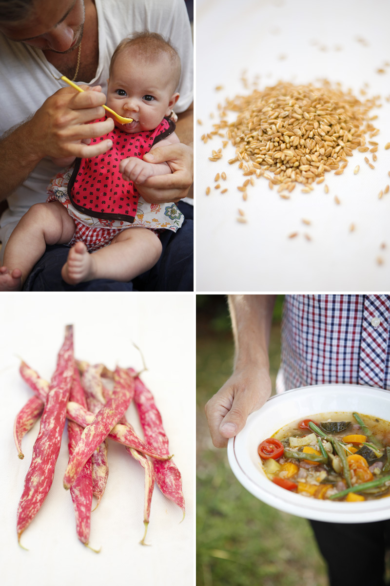elsa_barley_borlotti