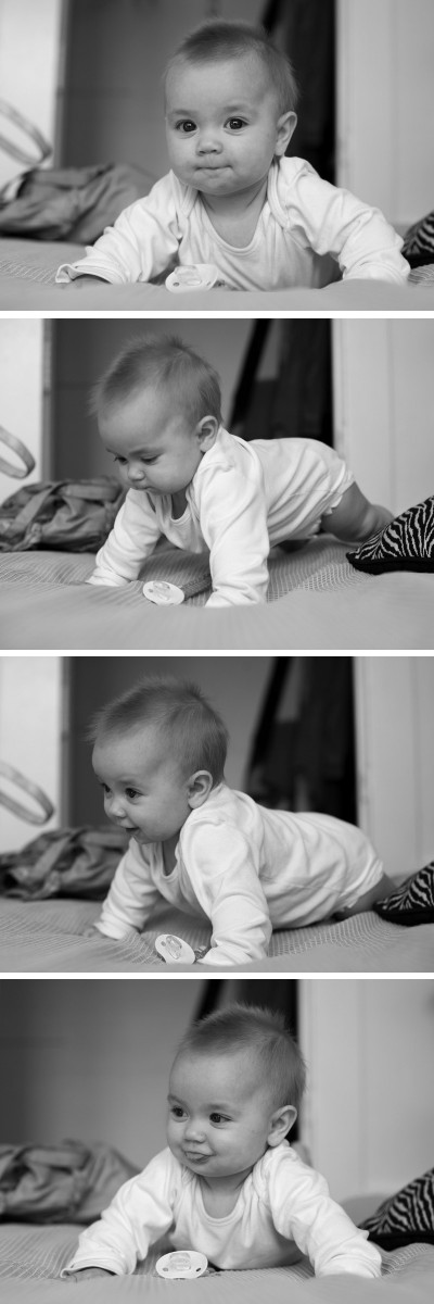 Elsa_crawls