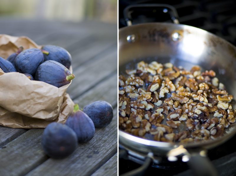 fig_walnut_pasta_3