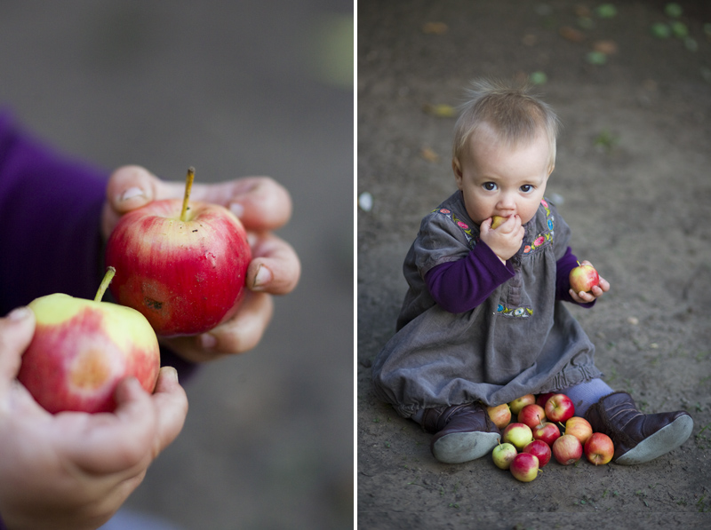 Elsa_Apples