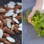 Mint_almonds