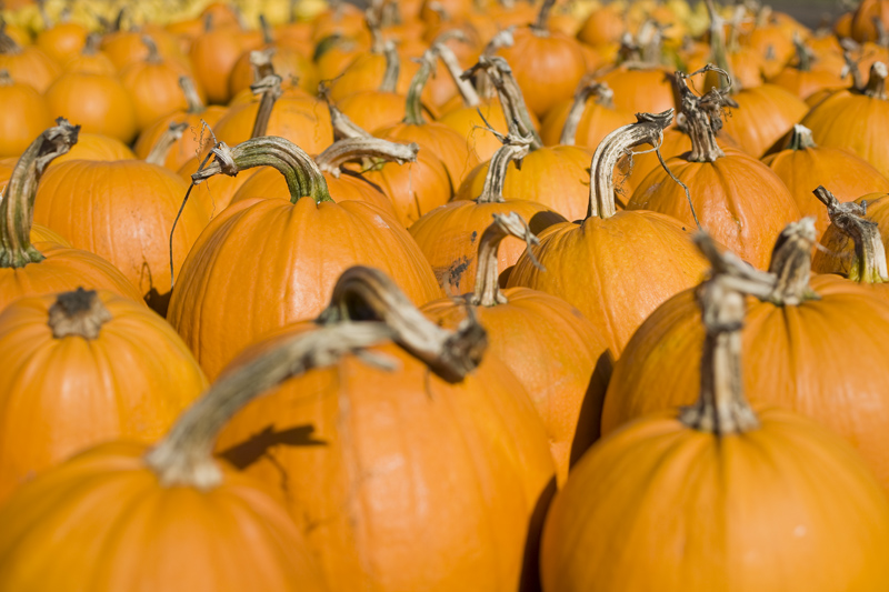 Pumpkins