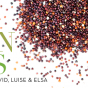 header_quinoa
