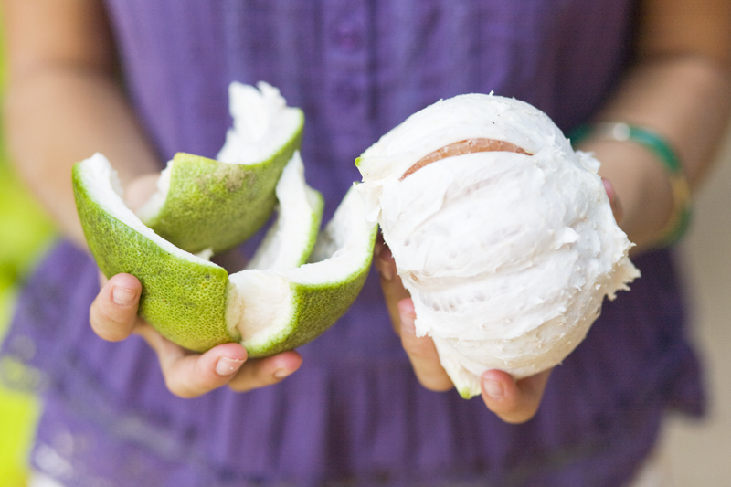 Pom_pom_pomelo