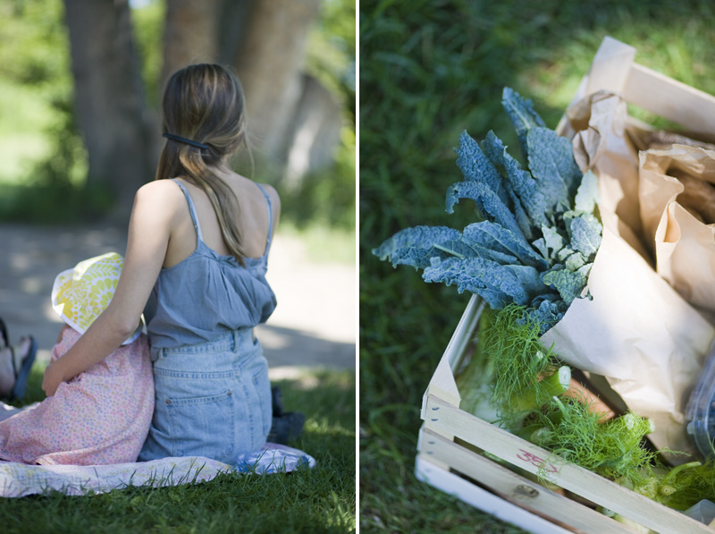 Arstiderne_picnic