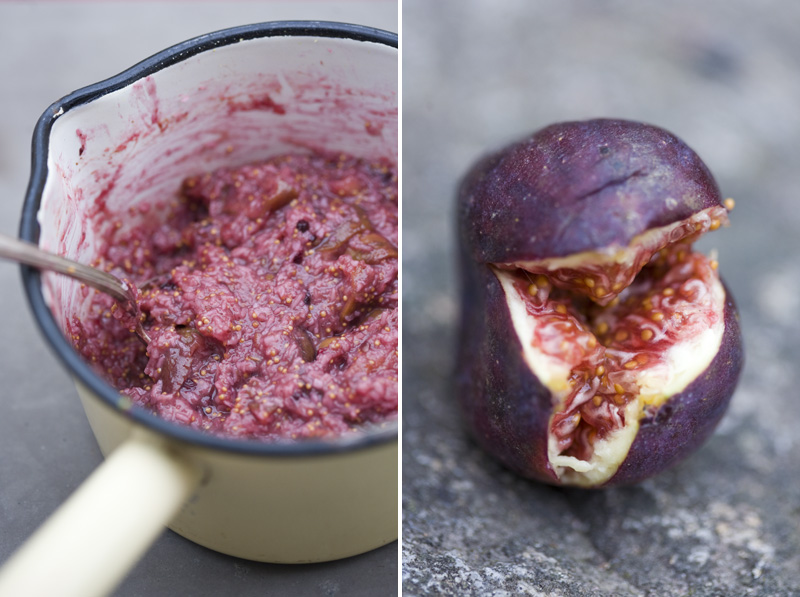 Fig ice cream 2