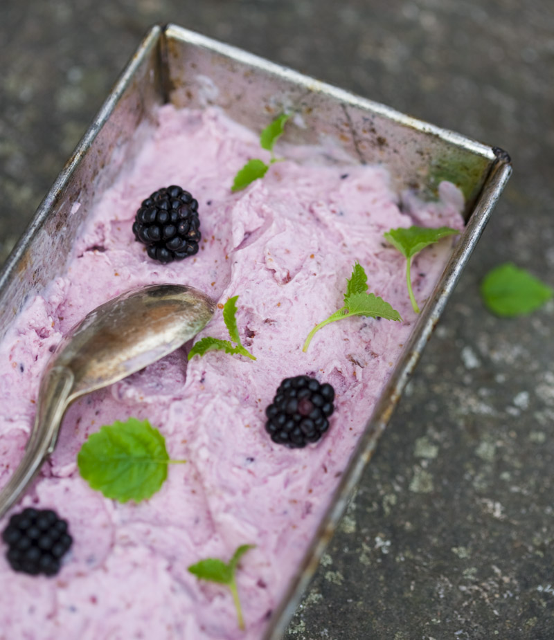 Fig ice cream 5