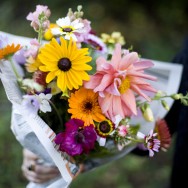 Rosendal_flowers