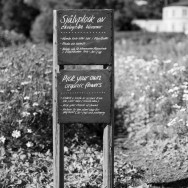 Rosendal_flowers_2