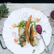 Roots_and_Beetrosh