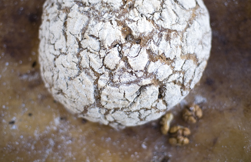 Walnut & Rye Sourdough Bread