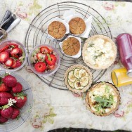 Picnic_at_rosendal