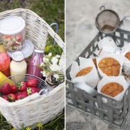Picnic_at_rosendal_2