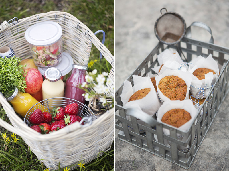 Picnic_at_rosendal_2