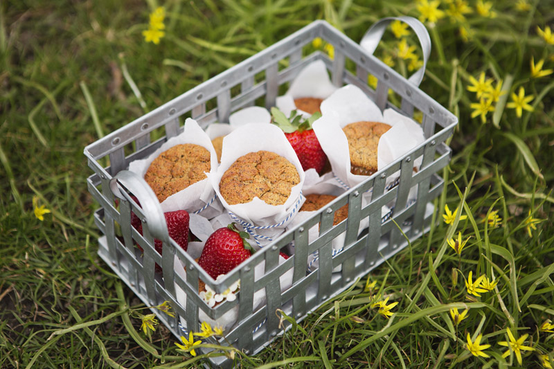 Picnic_at_rosendal_3