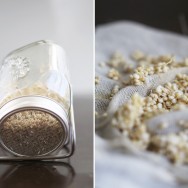 Sprouted_granola_2