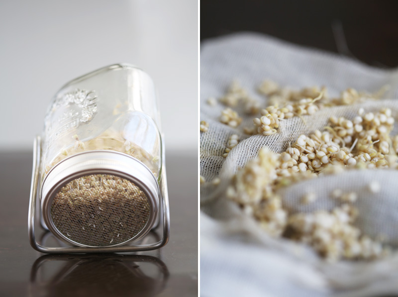 Sprouted_granola_2