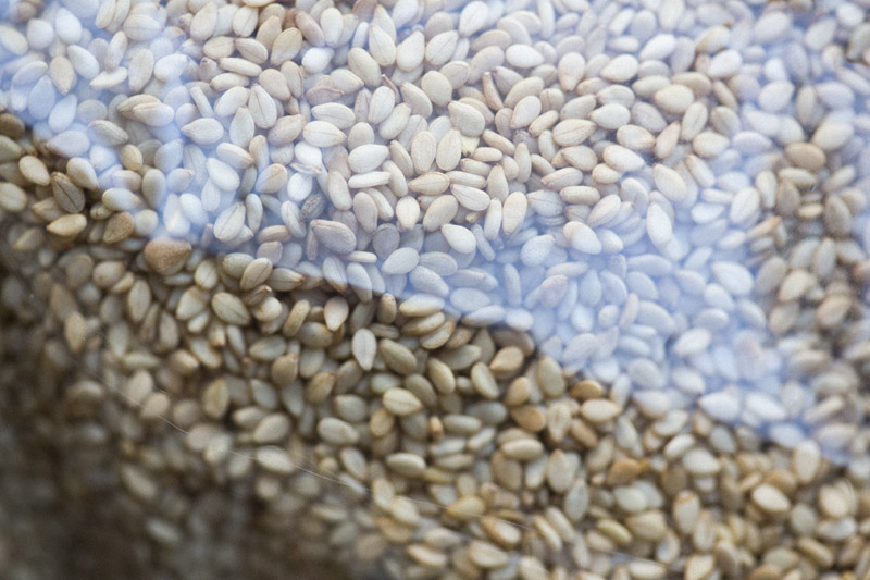 Sesame Super Bars