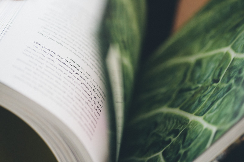 Reading_our_book